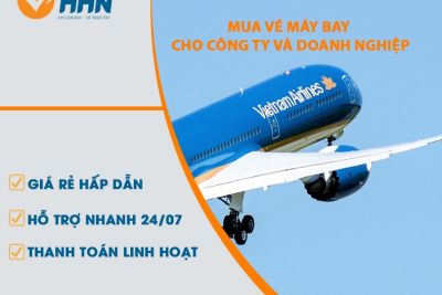 Doanh Nghiệp Cần Lưu Ý Gì Khi Lựa Chọn Một Đại Lý Vé Máy Bay