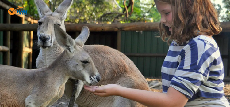 Vườn Thú Perth du-lich-perth