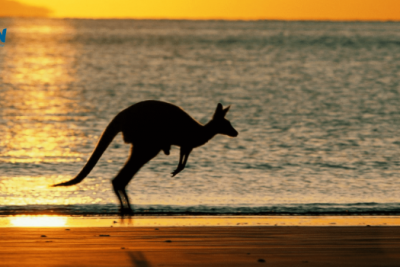 Đi Úc Nên Mua Gì? Top Những Món Quà Đáng Nhớ Nhất