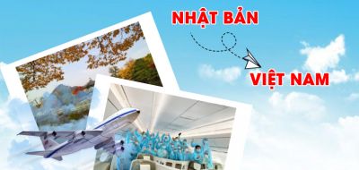 Đặt Vé Máy Bay Từ Nhật Về Việt Nam Dành Cho Chuyên Gia Tại Hồng Hải Nam